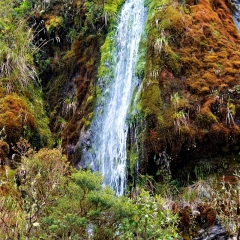 Marshland waterfall