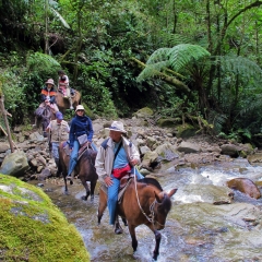 Stream crossing