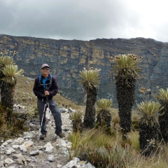 Hiking through the paramo