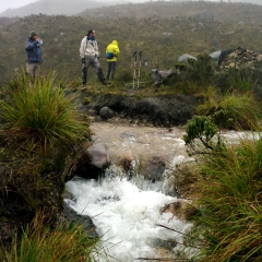 Taking a break at a mountain stream