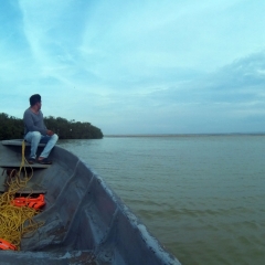 Approaching mangroves in Bahia Hondita