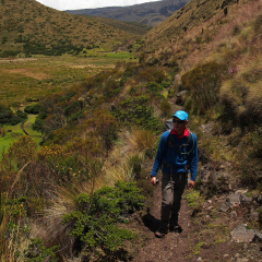 Caminando por el páramo con el Paramillo de Santa Rosa en el fondo