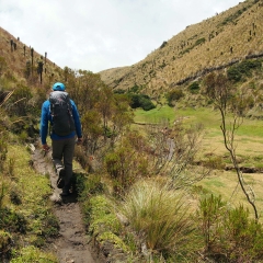 Caminando por el páramo