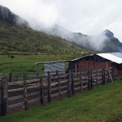 Berlin farm